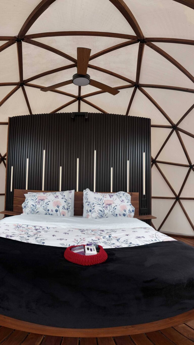 DJI_20250306124027_0360_D (1)